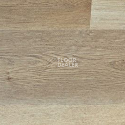 Кварцвиниловые полы Vinilpol Click 5мм 7895-EIR Дуб Портофино фото 1 | FLOORDEALER